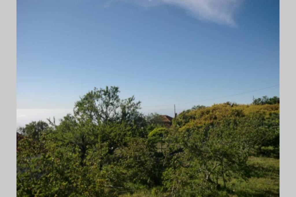 Casa Corea 2 Puntagorda Buitenkant foto